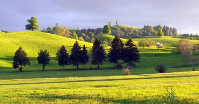 Landwirtschaftsamt Kanton Zug