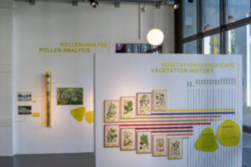 Infotafeln in der Sonderausstellung zur Gesundheit. @Museum fuer Urgeschichten