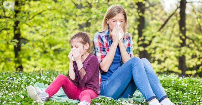 Pollenallergie Das kannst du dagegen tun