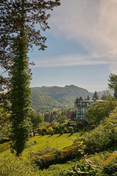 Die Badenweiler Natur ist hier abgebildet, im Hintergrund ist ein mit Wald bewachsener Hügel zu sehen. Im Vordergrund ist eine Wiese, die zu einer Villa gehört. Diese versteckt sich hinter einigen Bäumen.