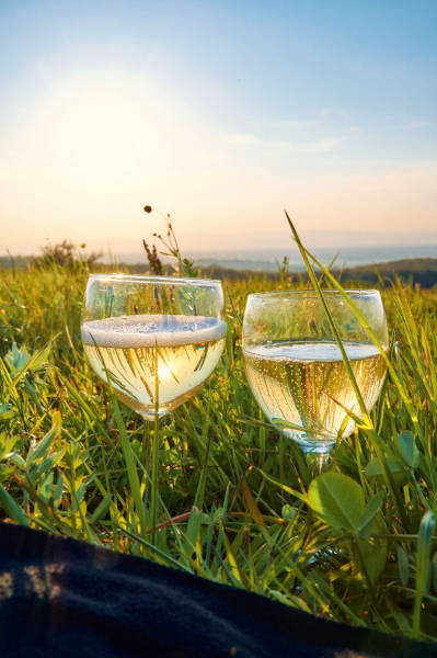 Zwei Gläser mit Schaumwein stehen im Gras.