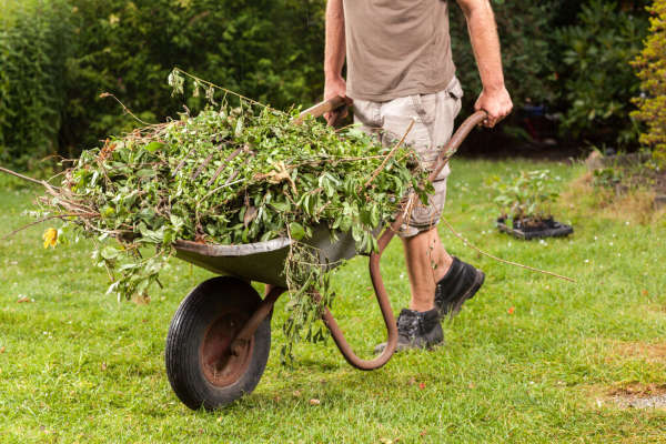 Garden work