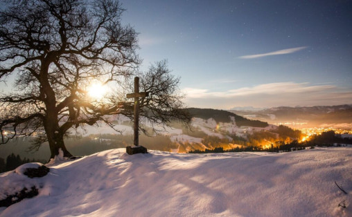 Zugerberg, Steinkreuz und Baum im Winter