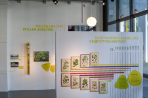 Infotafeln in der Sonderausstellung zur Gesundheit. @Museum für Urgeschichte(n)