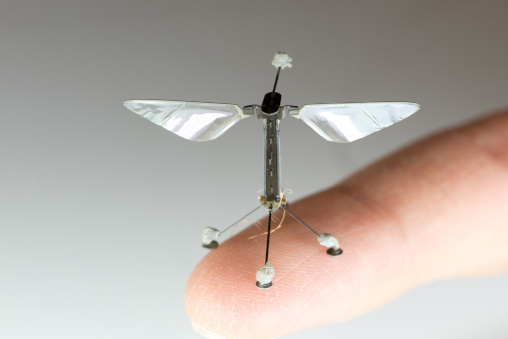 Robobee auf Finger