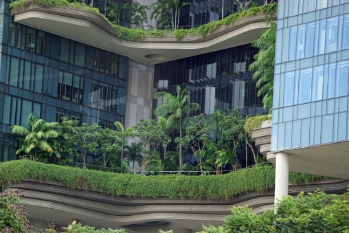 Ein Gebäude in Singapur, dessen Fenstersims aussen mit Sträuchern und anderen Pflanzen bewachsen ist.