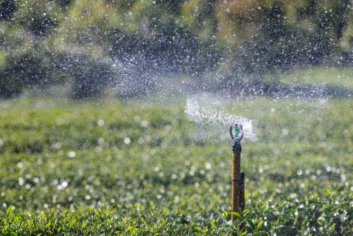 Ein kleiner Sprinkler steht auf dem Rasen.